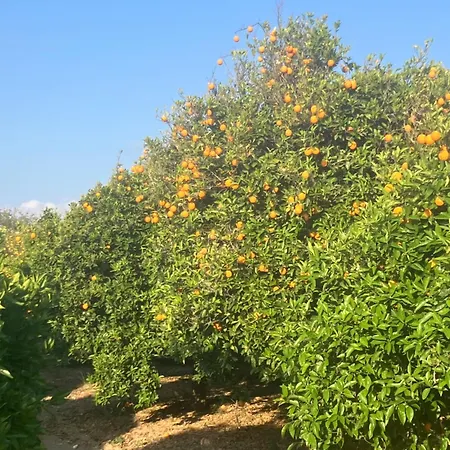 Andromeda House Polis